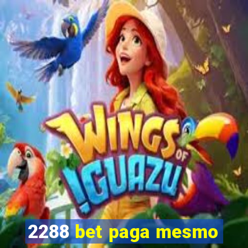 2288 bet paga mesmo